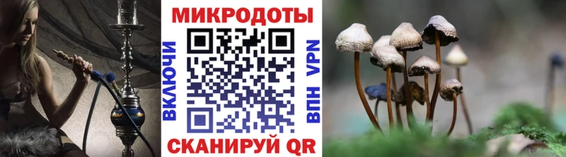 blacksprut вход дарнет шоп Суздаль Псилоцибиновые грибы Psilocybe